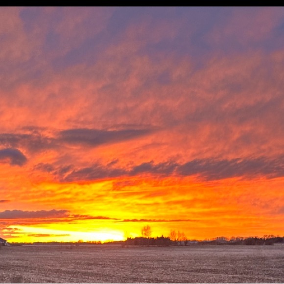 Meet your Posher, Maile - Picture 2 of 2